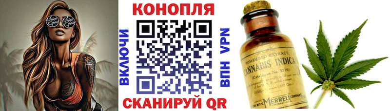 Конопля семена Бабаево